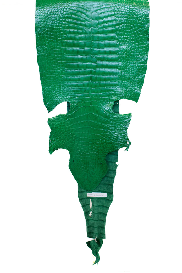 52 cm Grade 2/3 Libra Green Millennium Wild American Alligator Leather - Tag: LA22-0004201