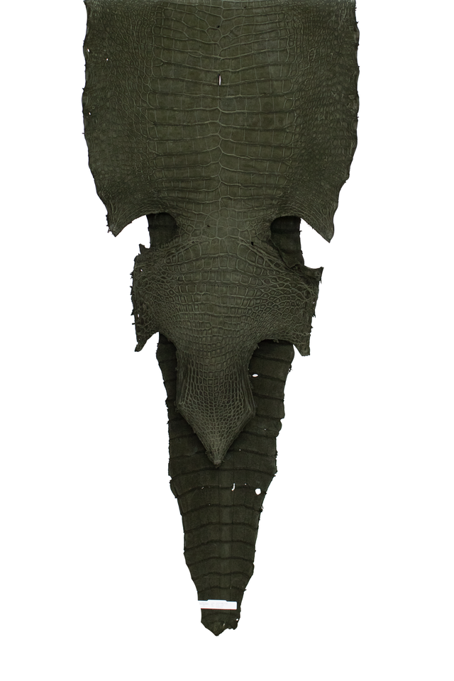 69 cm Grade 4/5 Olive Green Nubuck Wild American Alligator Leather - Tag: LA20-0012491