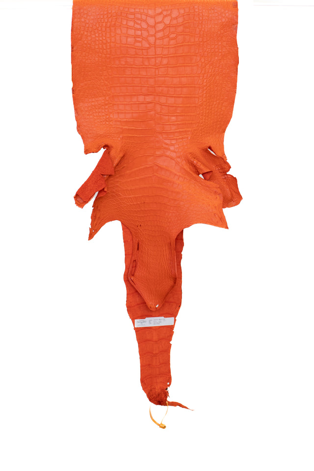 39 cm Grade 2/3 Orange Matte Wild American Alligator Leather - Tag: LA22-0013613