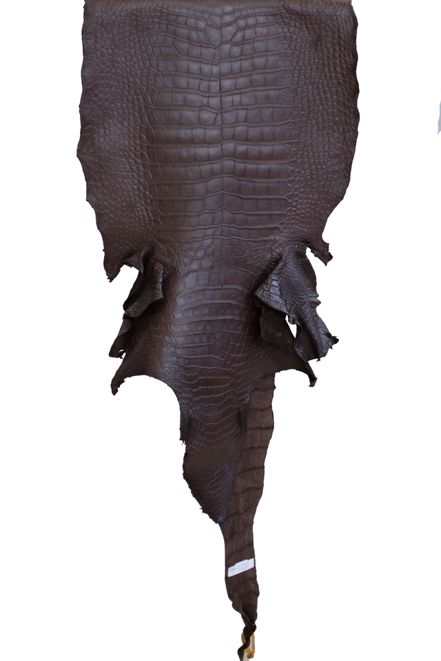 56 cm Grade 3/4 Ideal Brown Matte Wild American Alligator Leather - Tag: LA22-0018158