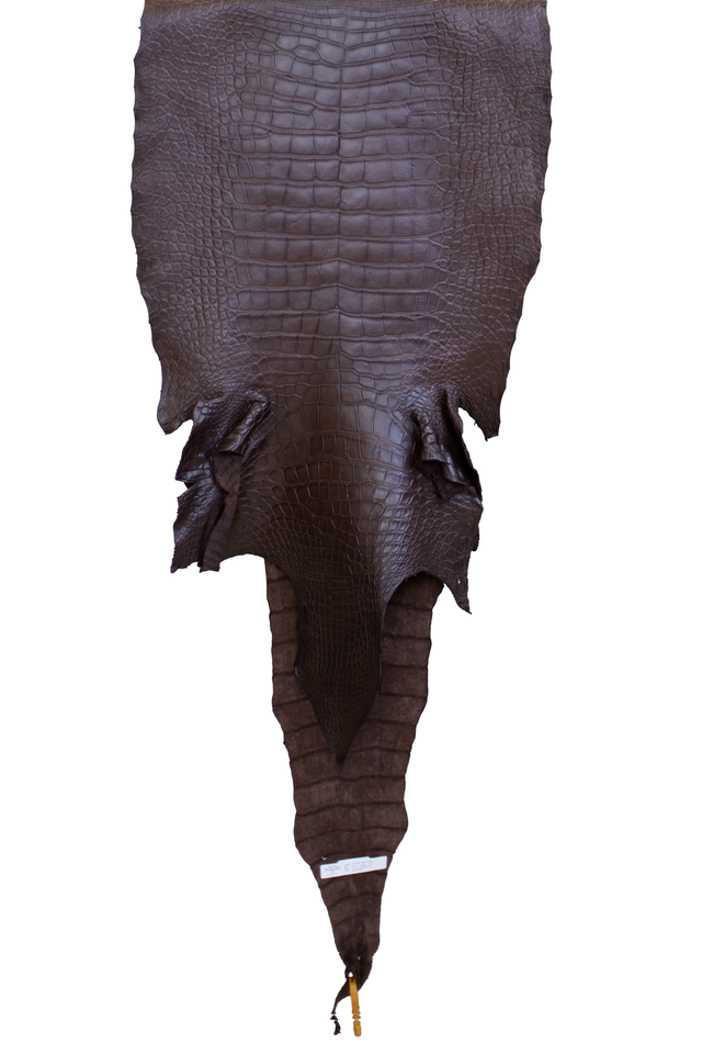 56 cm Grade 3/4 Ideal Brown Matte Wild American Alligator Leather - Tag: LA22-0020419
