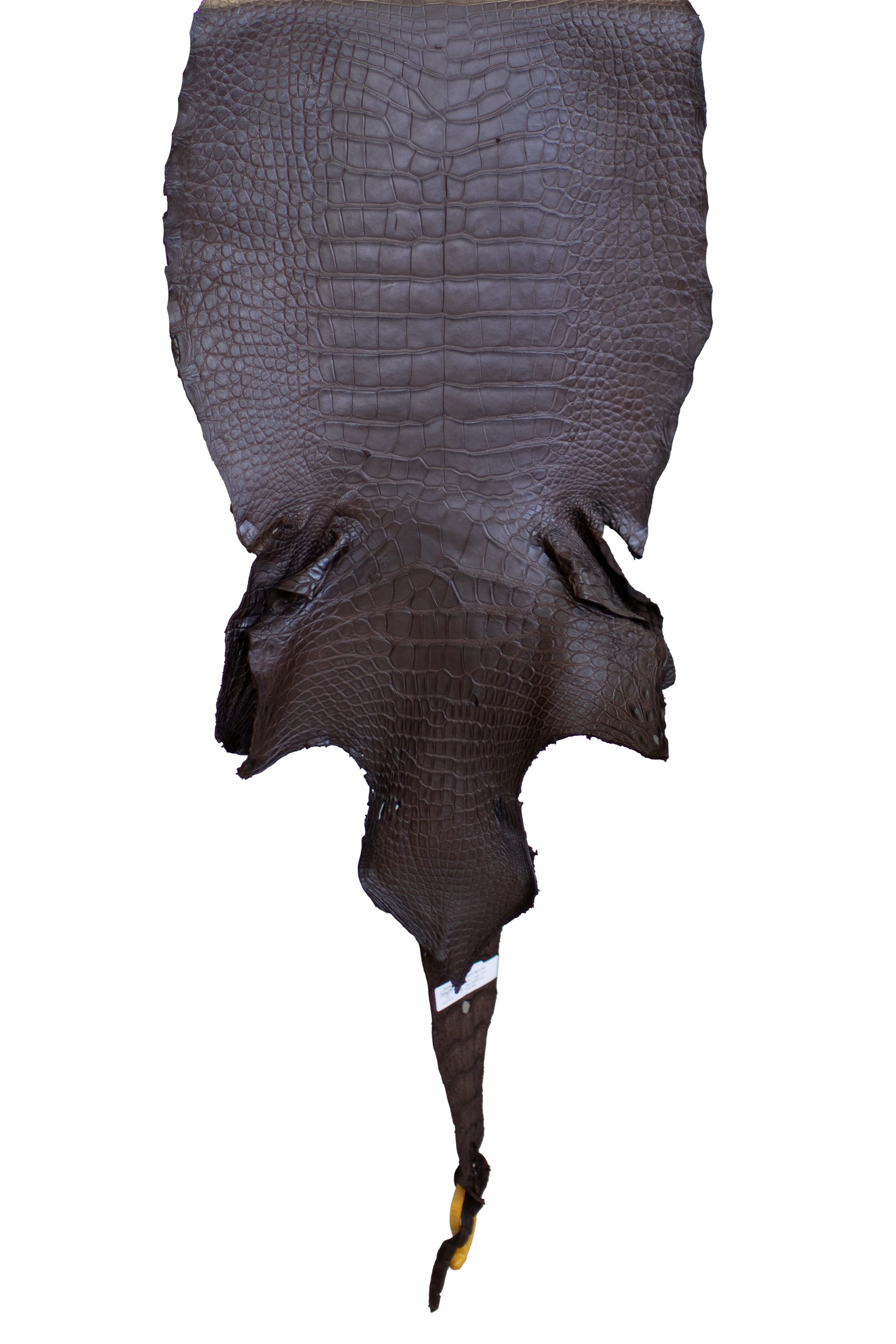 49 cm Grade 4/5 Ideal Brown Matte Wild American Alligator Leather - Tag: LA22-0018995
