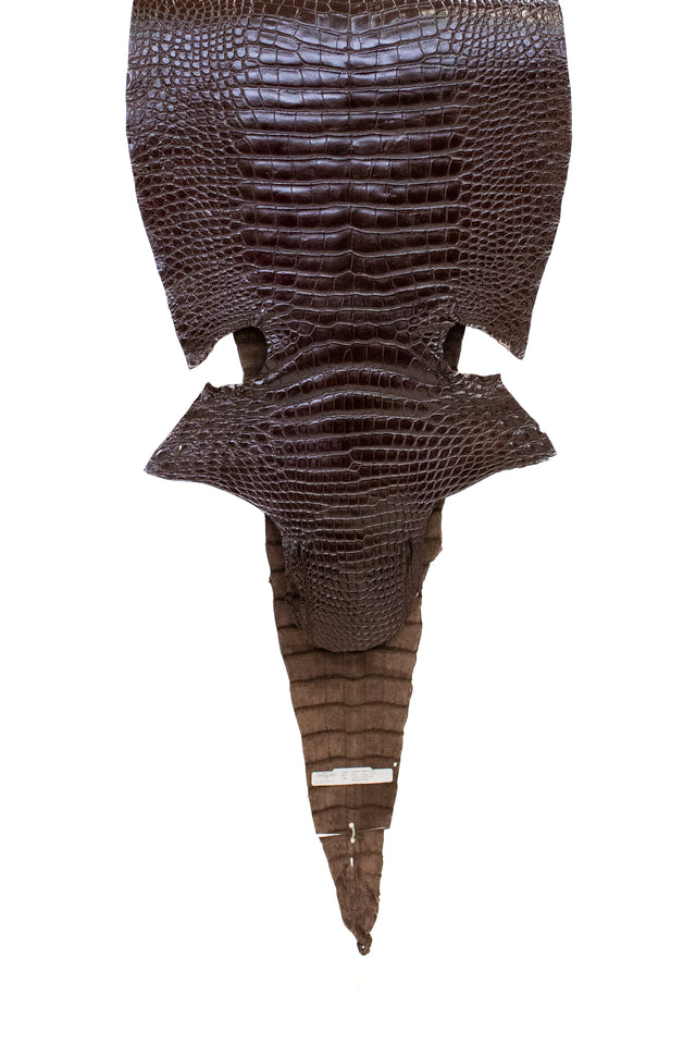 53 cm Grade 2/3 Chocolate Millennium Wild American Alligator Leather - Tag: LA19-0021688