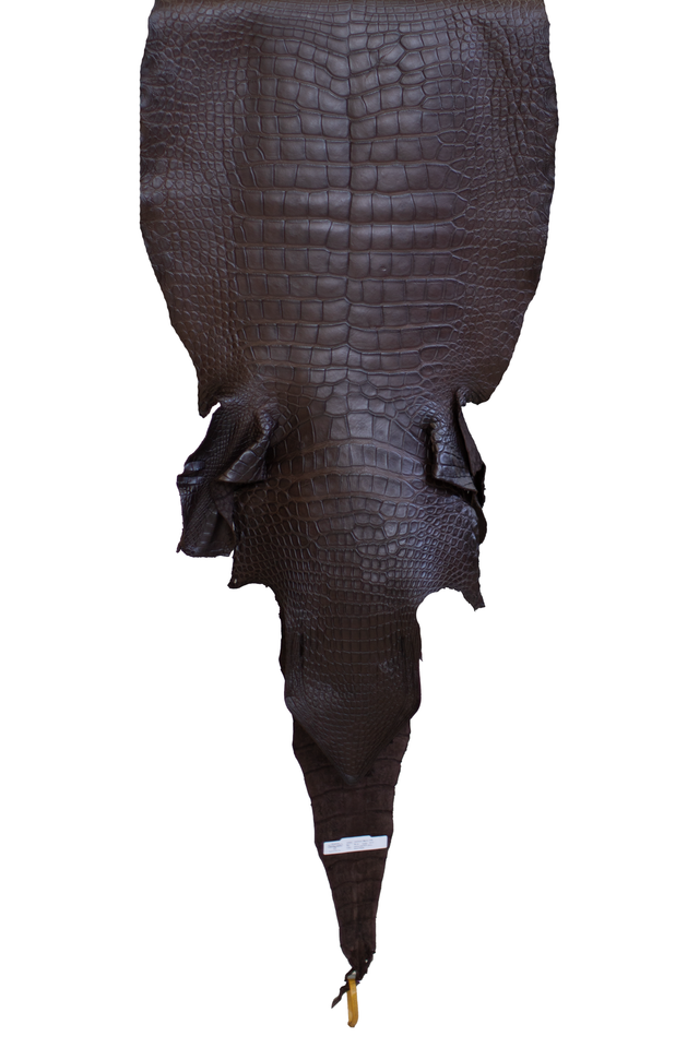 58 cm Grade 3/4 Ideal Brown Matte Wild American Alligator Leather - Tag: LA22-0025096