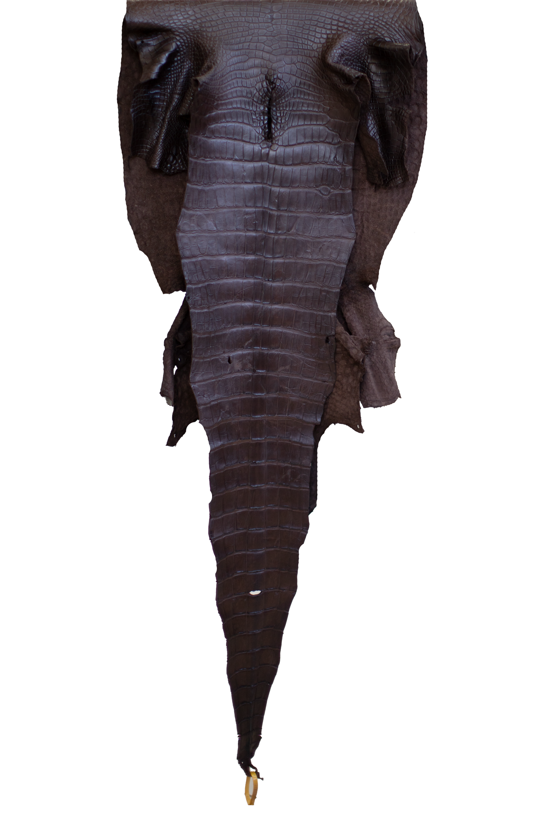 58 cm Grade 3/4 Ideal Brown Matte Wild American Alligator Leather - Tag: LA22-0025096