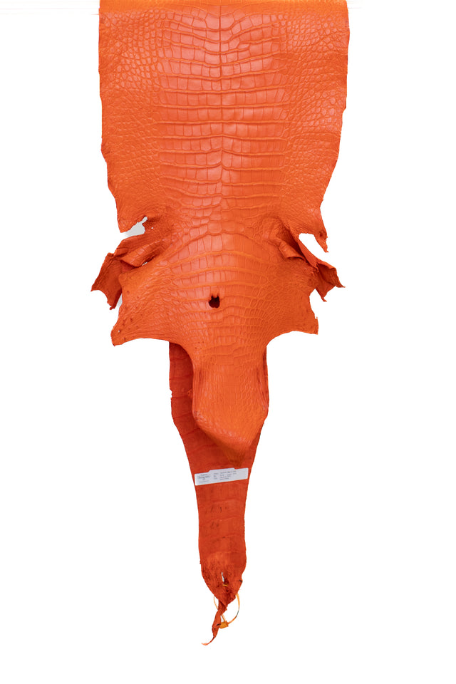 39 cm Grade 2/3 Orange Matte Wild American Alligator Leather - Tag: LA22-0025253