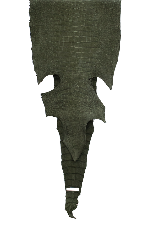 70 cm Grade 4/5 Olive Green Nubuck Wild American Alligator Leather - Tag: LA22-0028551