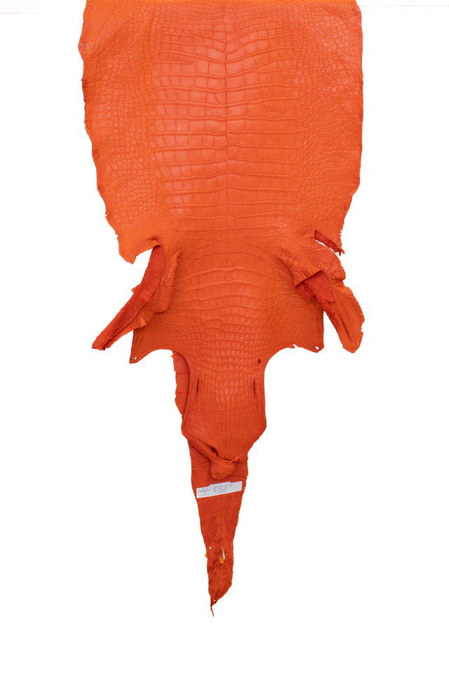 50 cm Grade 2/3 Orange Matte Wild American Alligator Leather - Tag: LA22-0031225