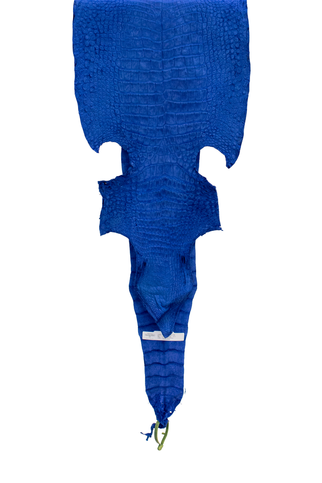 40 cm Grade 3/4 Navy Blue Nubuck Wild American Alligator Leather - Tag: LA22-0031267