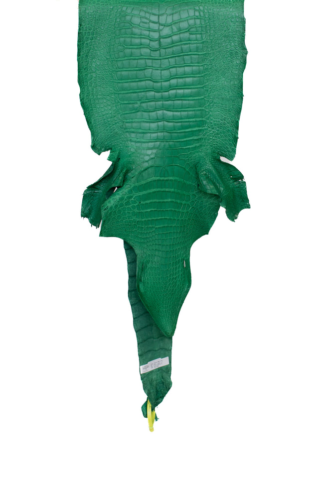 38 cm Grade 4/5 Kelly Green Matte Wild American Alligator Leather - Tag: LA22-0038822