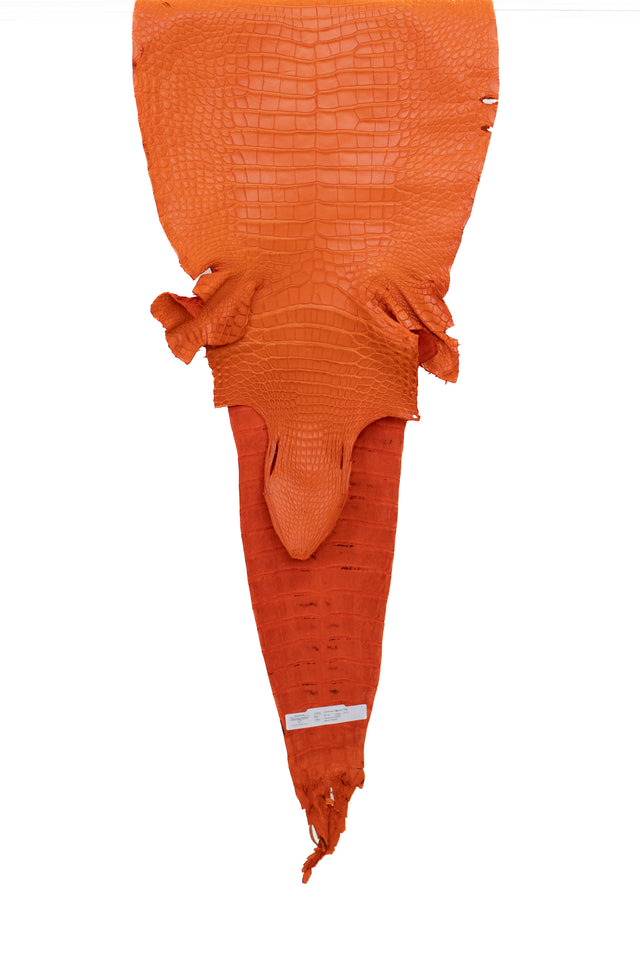 40 cm Grade 2/3 Orange Matte Farm American Alligator Leather - Tag: FL17-0052766