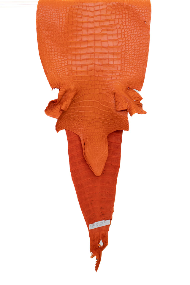 39 cm Grade 2/3 Orange Matte Farm American Alligator Leather - Tag: FL17-0052795