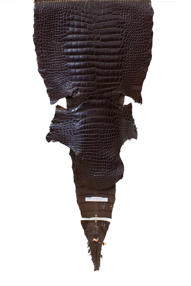 52 cm Grade 2/3 RL Chocolate Millennium Wild American Alligator Leather - Tag: LA18-0053839
