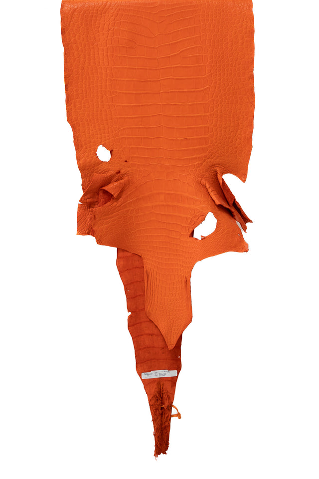 50 cm Grade 2/3 Orange Primavera Matte Wild American Alligator Leather - Tag: LA18-0019377