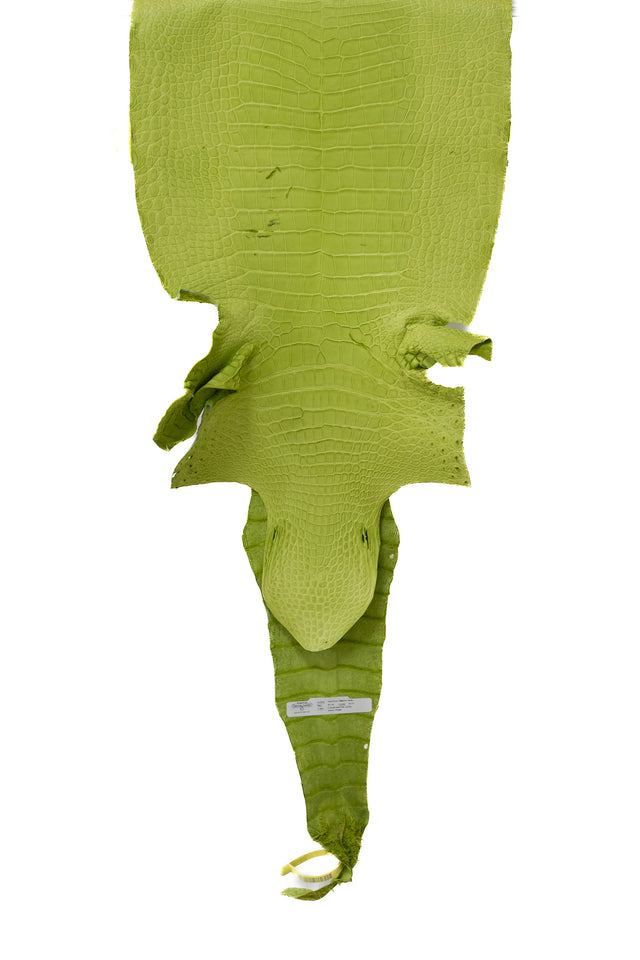 42 cm Grade 3/4 Chartreuse Matte Wild American Alligator Leather - Tag: LA19-0034370