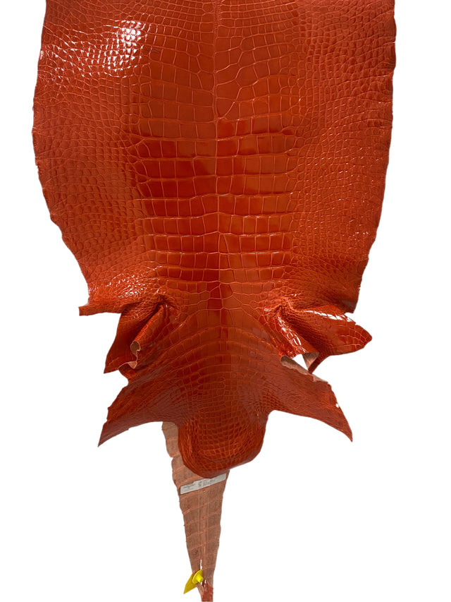 50 cm Grade 2/3 Mandarina Glazed Wild American Alligator Leather - Tag: LA14-0026140