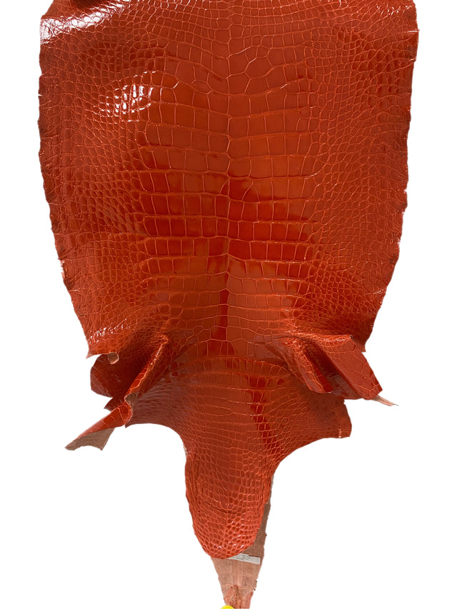 55 cm Grade 2/3 Mandarina Glazed Wild American Alligator Leather - Tag: LA14-0035089