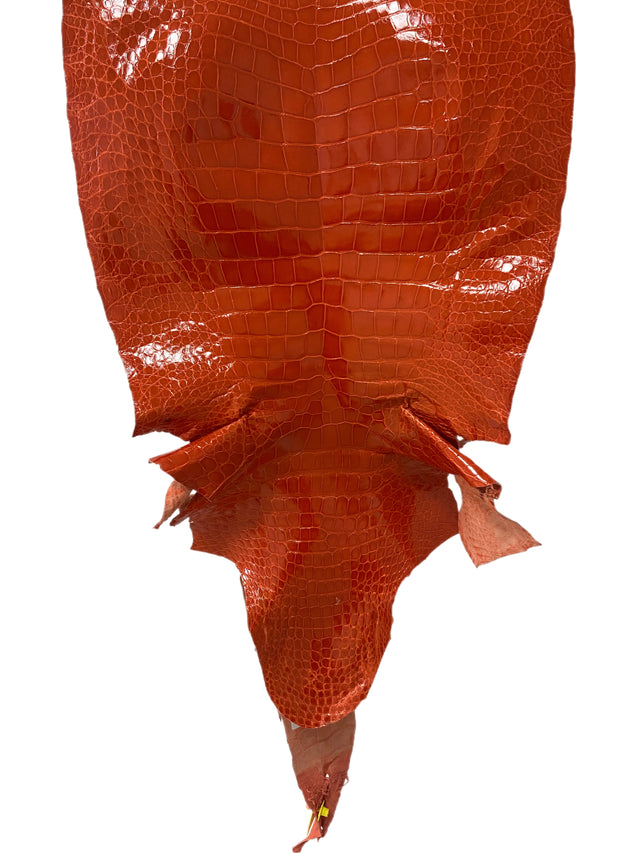 49 cm Grade 2/3 Mandarina Glazed Wild American Alligator Leather - Tag:  LA15-0013311