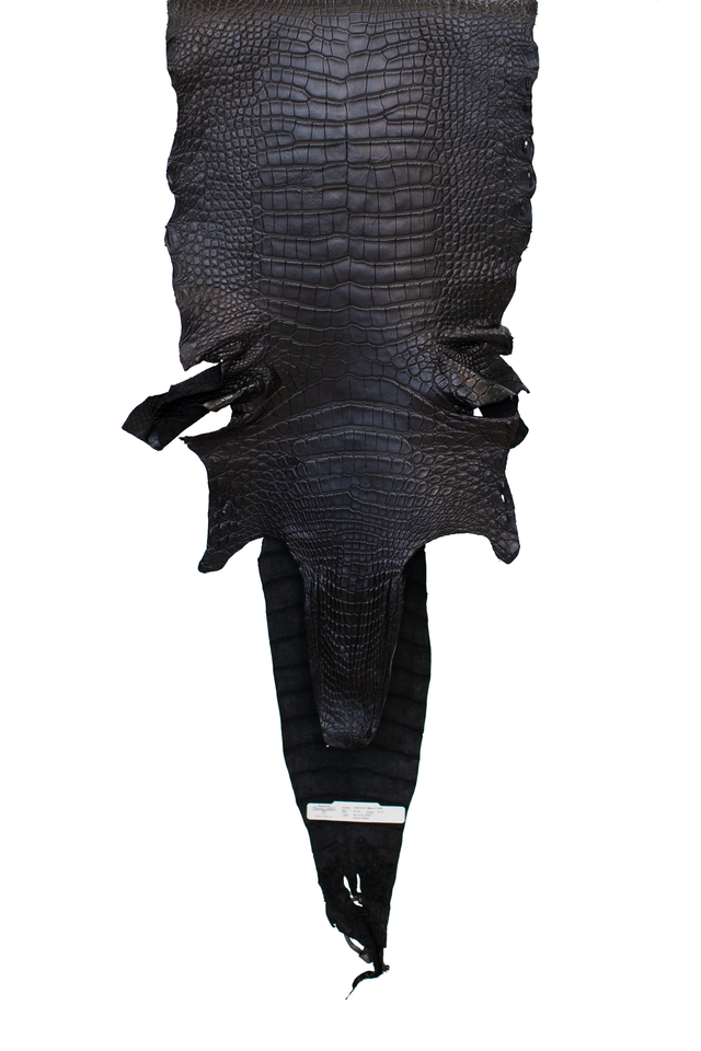 34 cm Grade 3/4 Black Matte Farm Raised American Alligator Leather - Tag: FL20-0001718