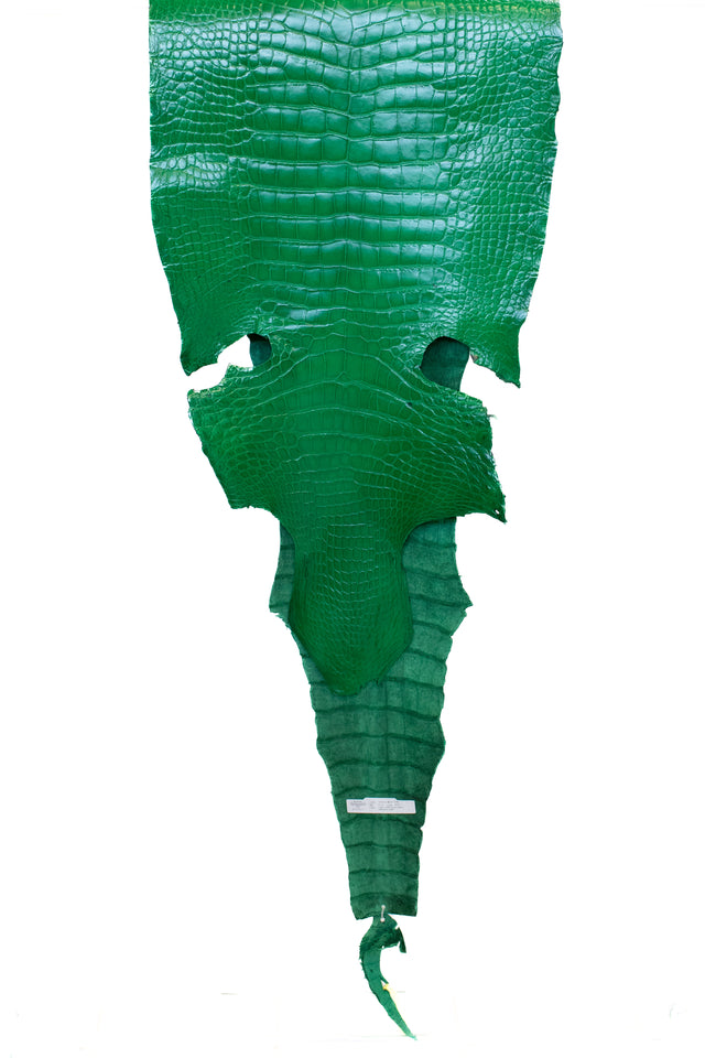 52 cm Grade 3/4 Libra Green Millennium Wild American Alligator Leather - Tag: LA22-0003944