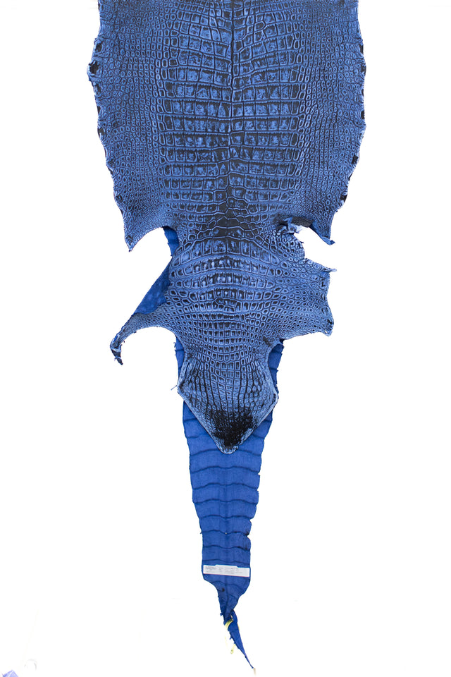 53 cm Grade 2/3 Paradox Blue Outlaw Wild American Alligator Leather - Tag: LA22-0004076