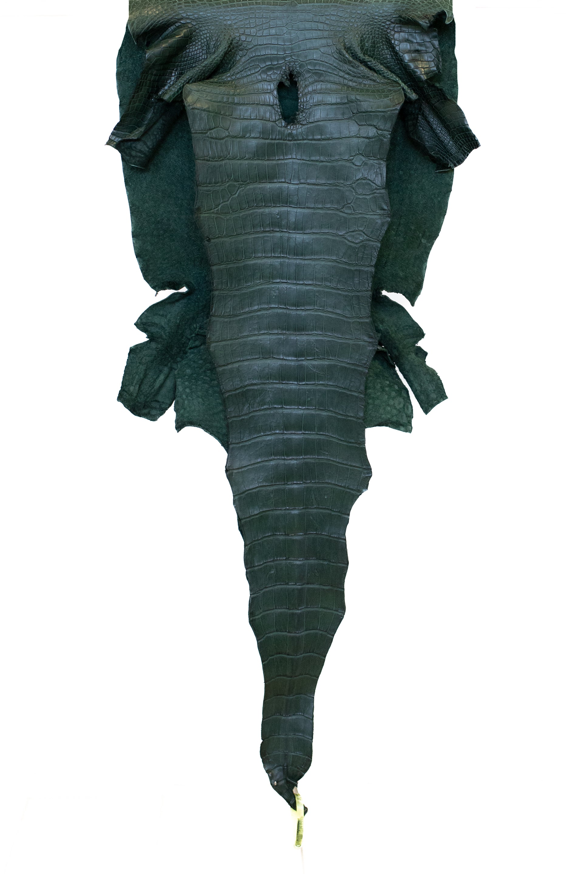 47 cm Grade 3/4 Forest Green Matte Wild American Alligator Leather - Tag: LA22-0004157