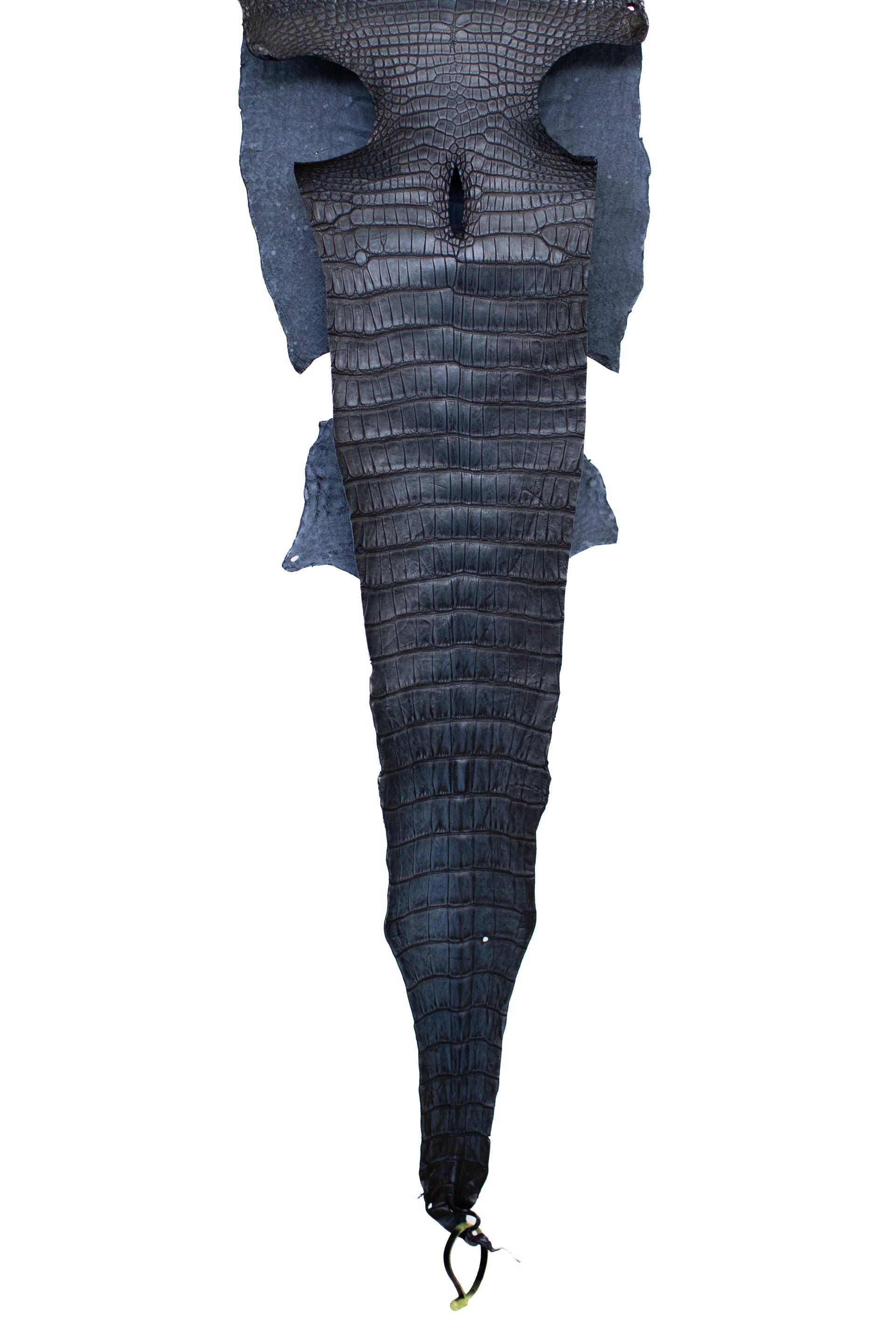 35 cm Grade 2/3 Navy Blue Antique Wild American Alligator Leather - Tag: LA22-0004176