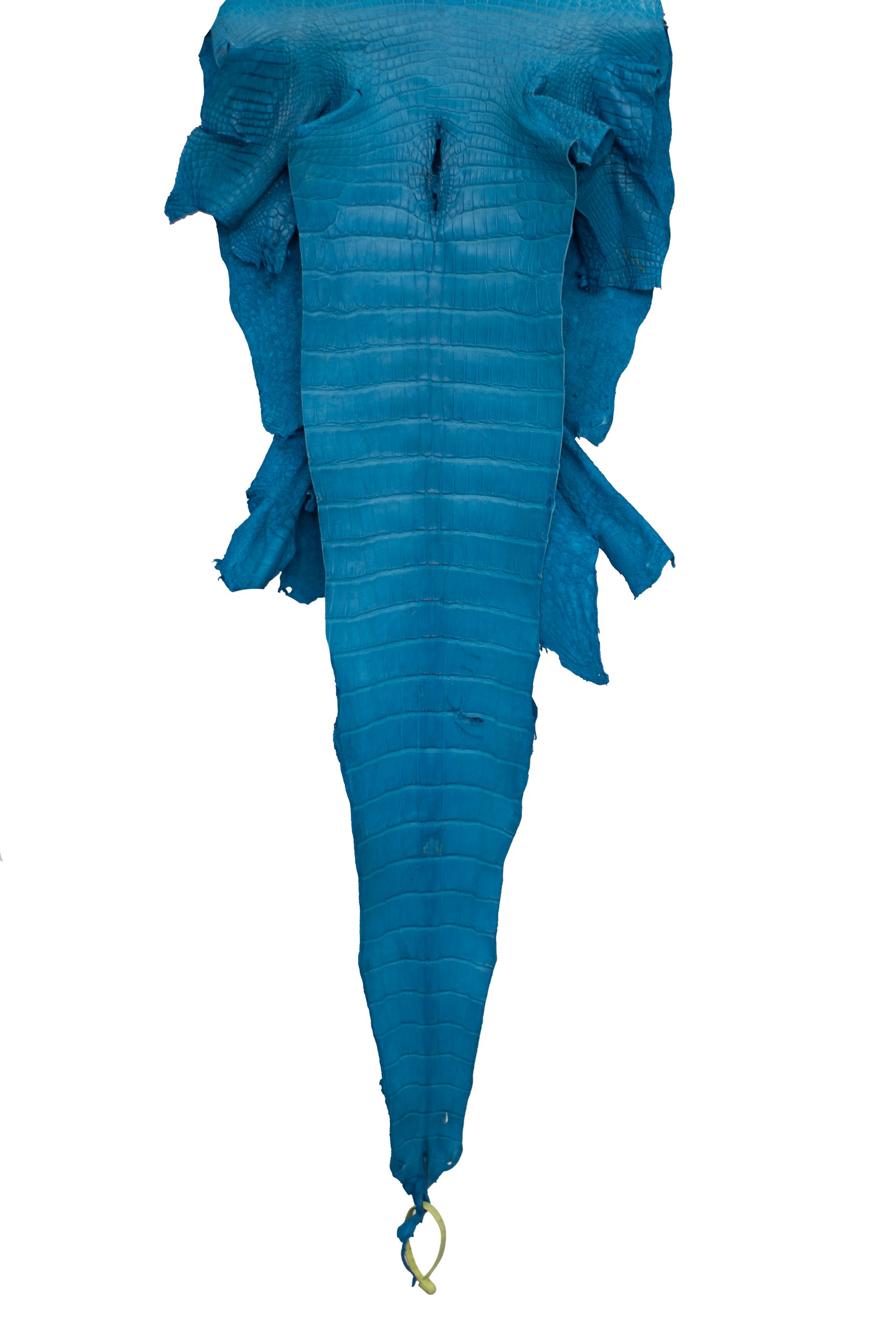 39 cm Grade 4/5 Ultramarine Matte Wild American Alligator Leather - Tag: LA22-0004197