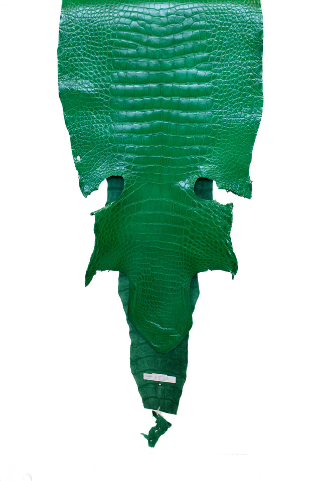 56 cm Grade 2/3 Libra Green Millennium Wild American Alligator Leather - Tag: LA22-0004562