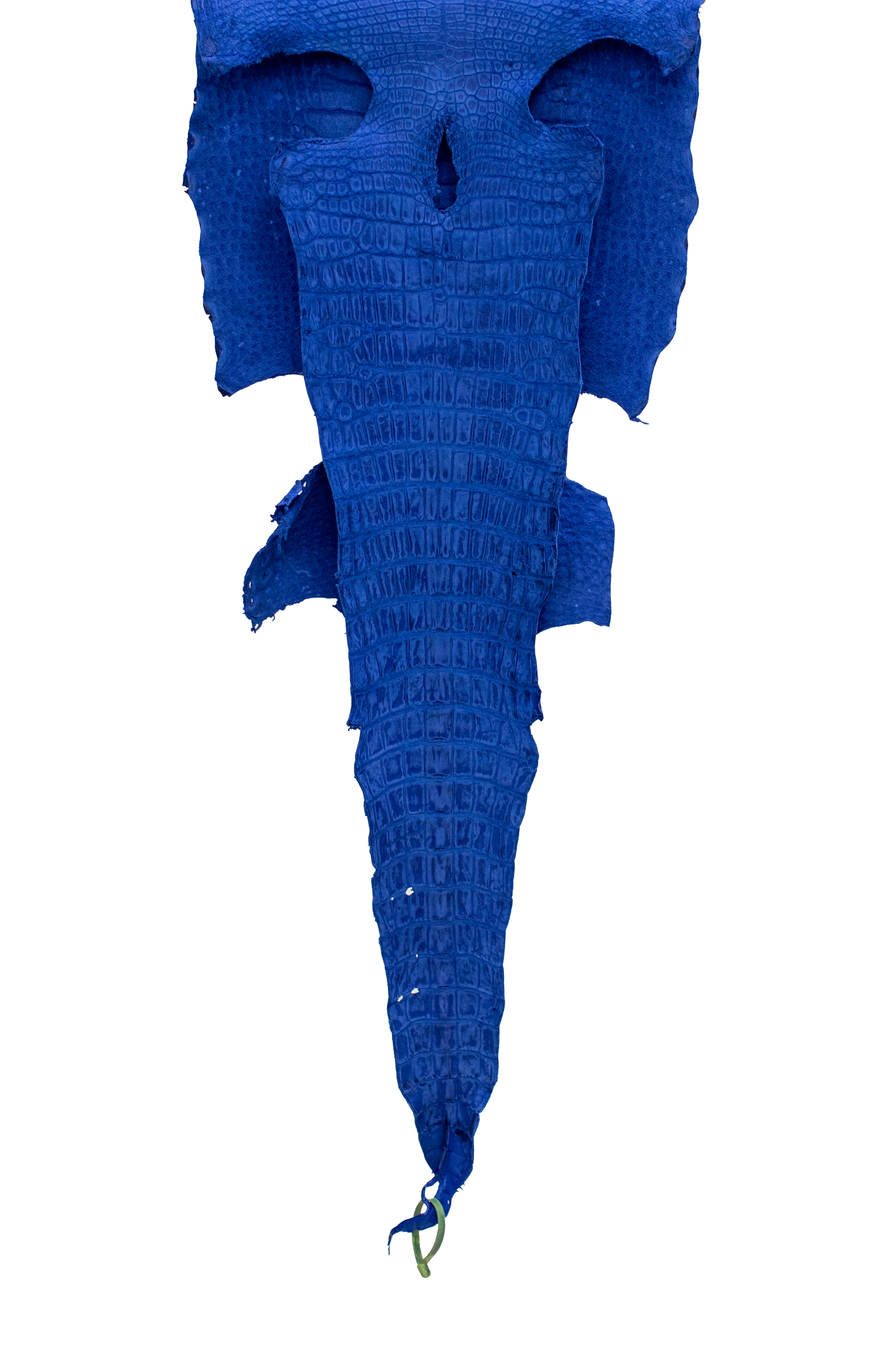 48 cm Grade 3/4 Navy Blue Nubuck Wild American Alligator Leather - Tag: LA22-0004564