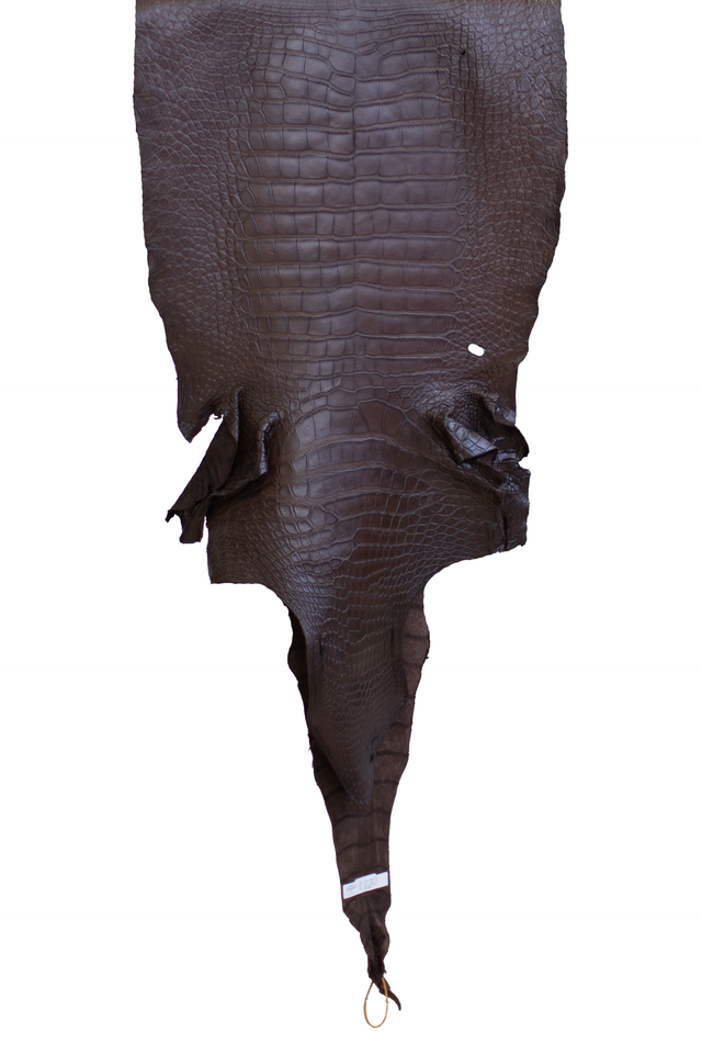 57 cm Grade 2/3 Ideal Brown Matte Wild American Alligator Leather - Tag: LA22-0004837