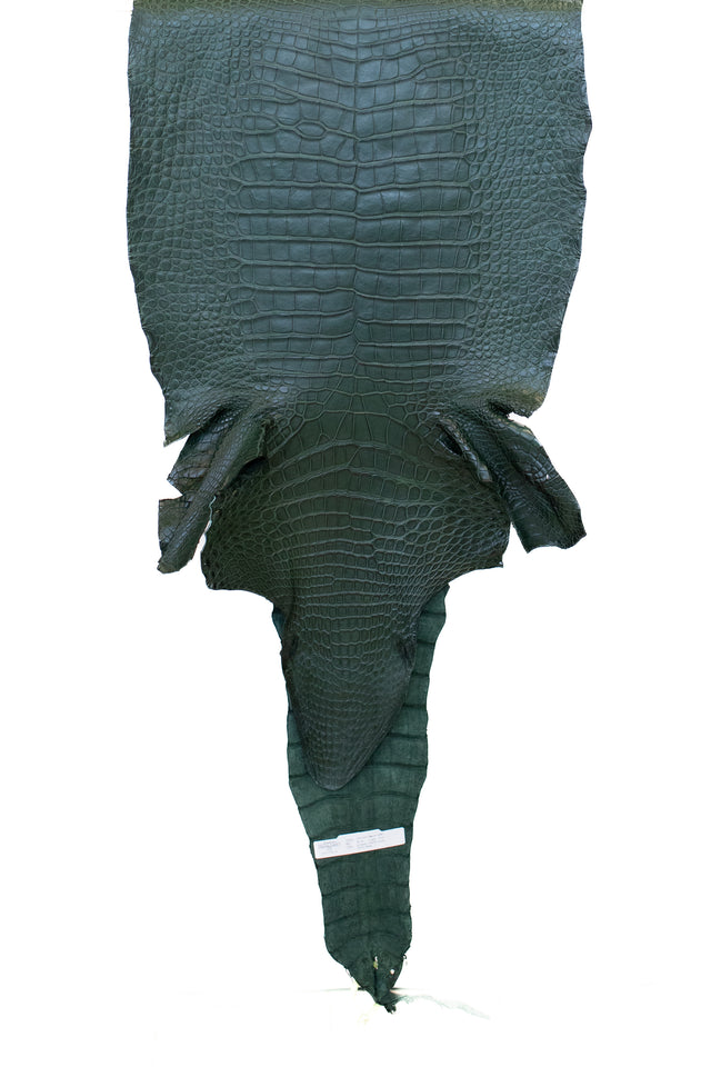 49 cm Grade 2/3 Forest Green Matte Wild American Alligator Leather - Tag: LA22-0005978