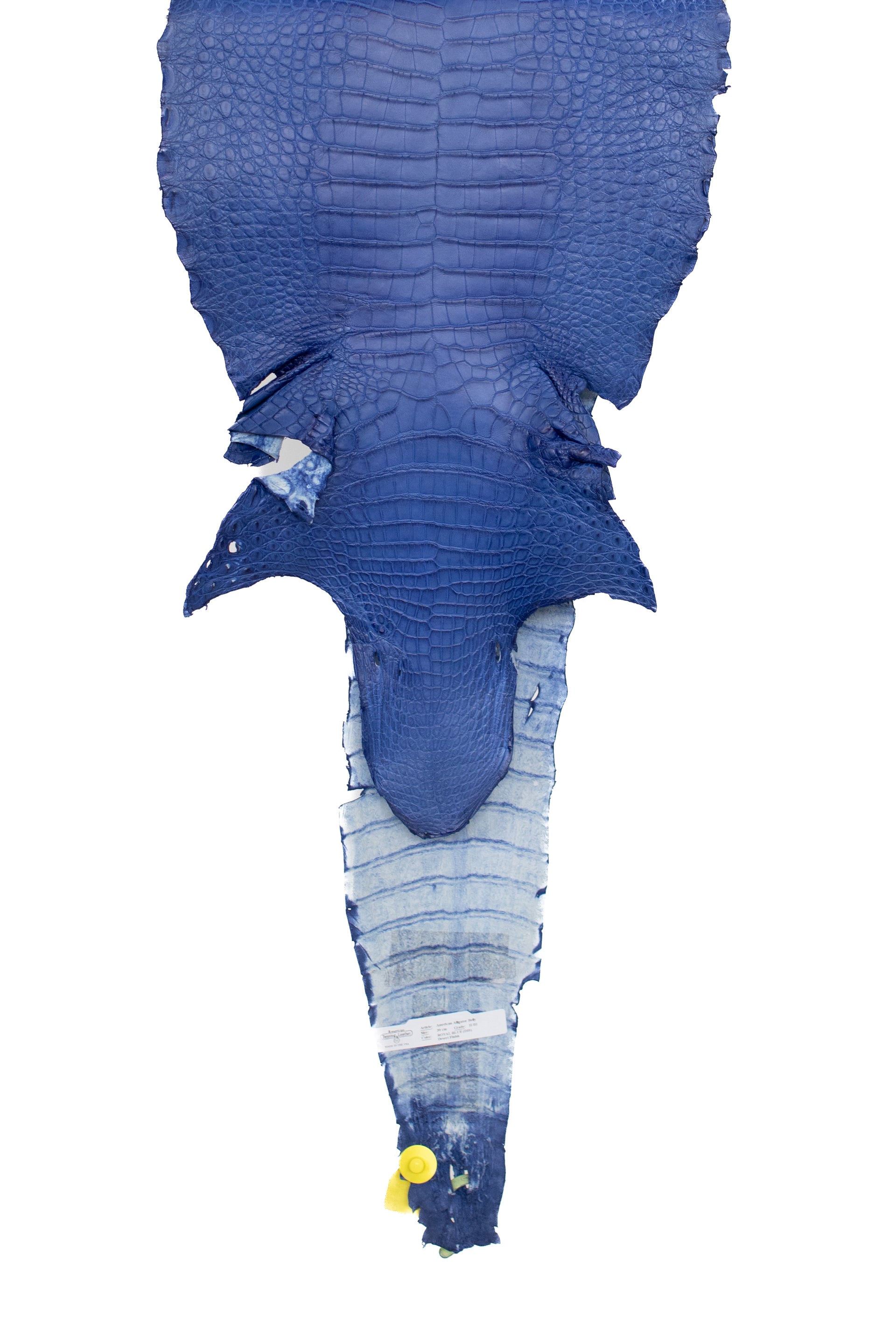 39 cm Grade 2/3 Royal Blue Matte Wild American Alligator Leather - Tag: FL16-0007487