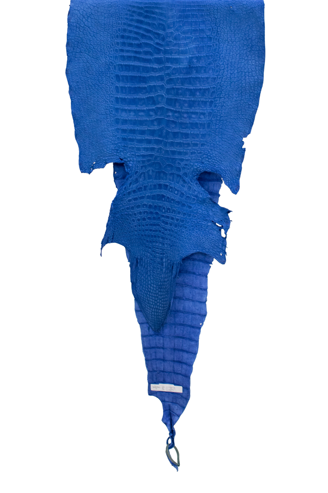 56 cm Grade 2/3 Navy Blue Nubuck Wild American Alligator Leather - Tag: LA13-0010131