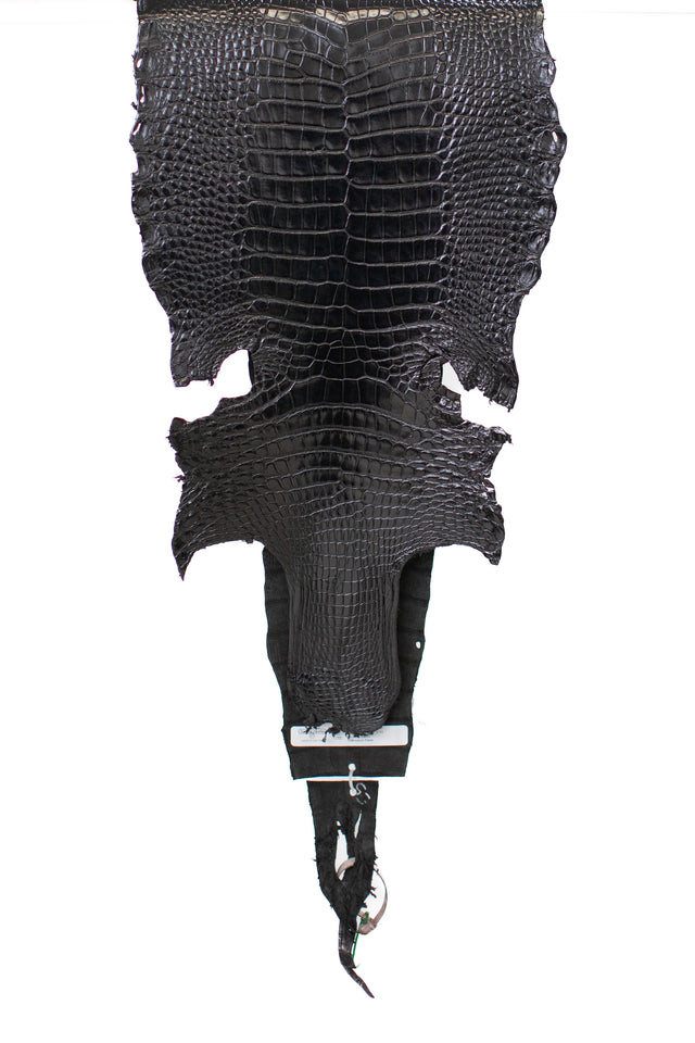 33 cm Grade 2/3 Black Millennium Wild American Alligator Leather - Tag: LA18-0011944