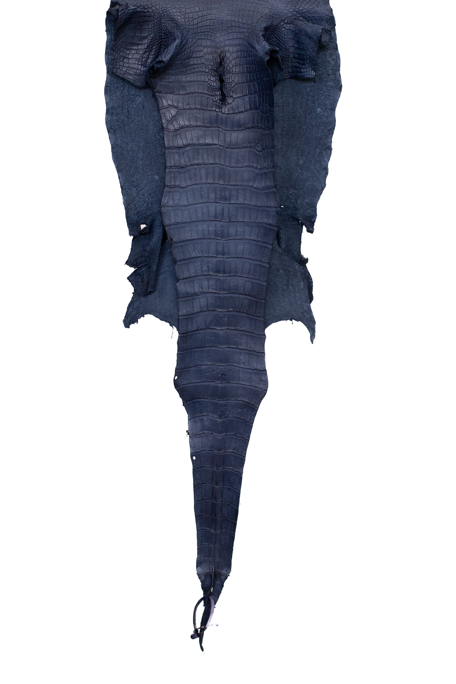 42 cm Grade 3/4 Navy Blue Matte Wild American Alligator Leather - Tag: LA18-0013415