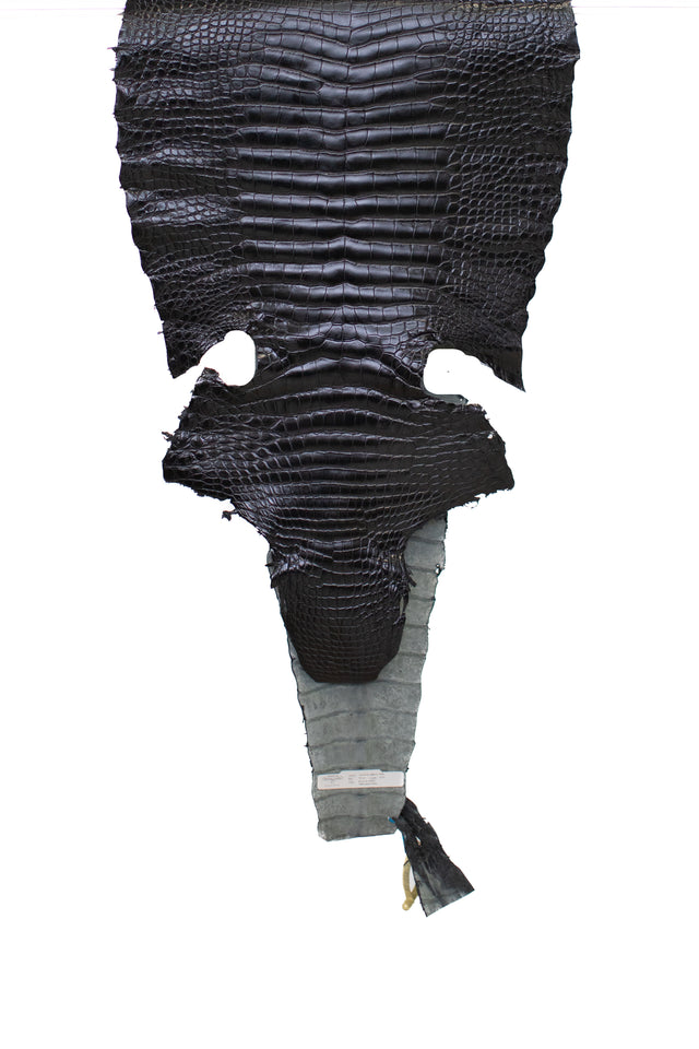 50 cm Grade 2/3 Black Millennium Wild American Alligator Leather - Tag: LA16-0013651