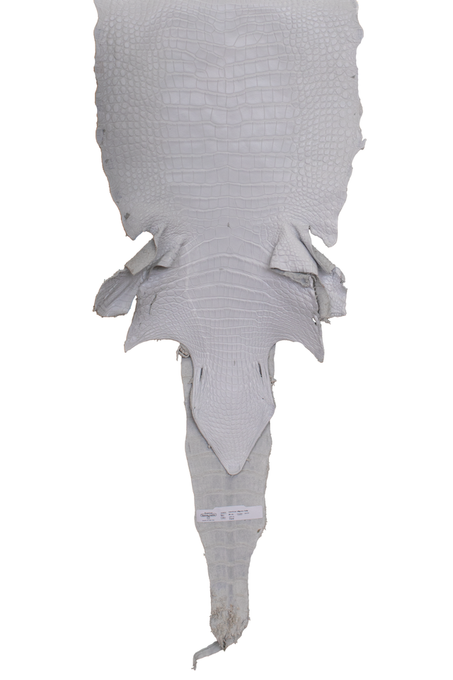 38 cm Grade 3/4 White Matte Wild American Alligator Leather - Tag: LA19-0014203