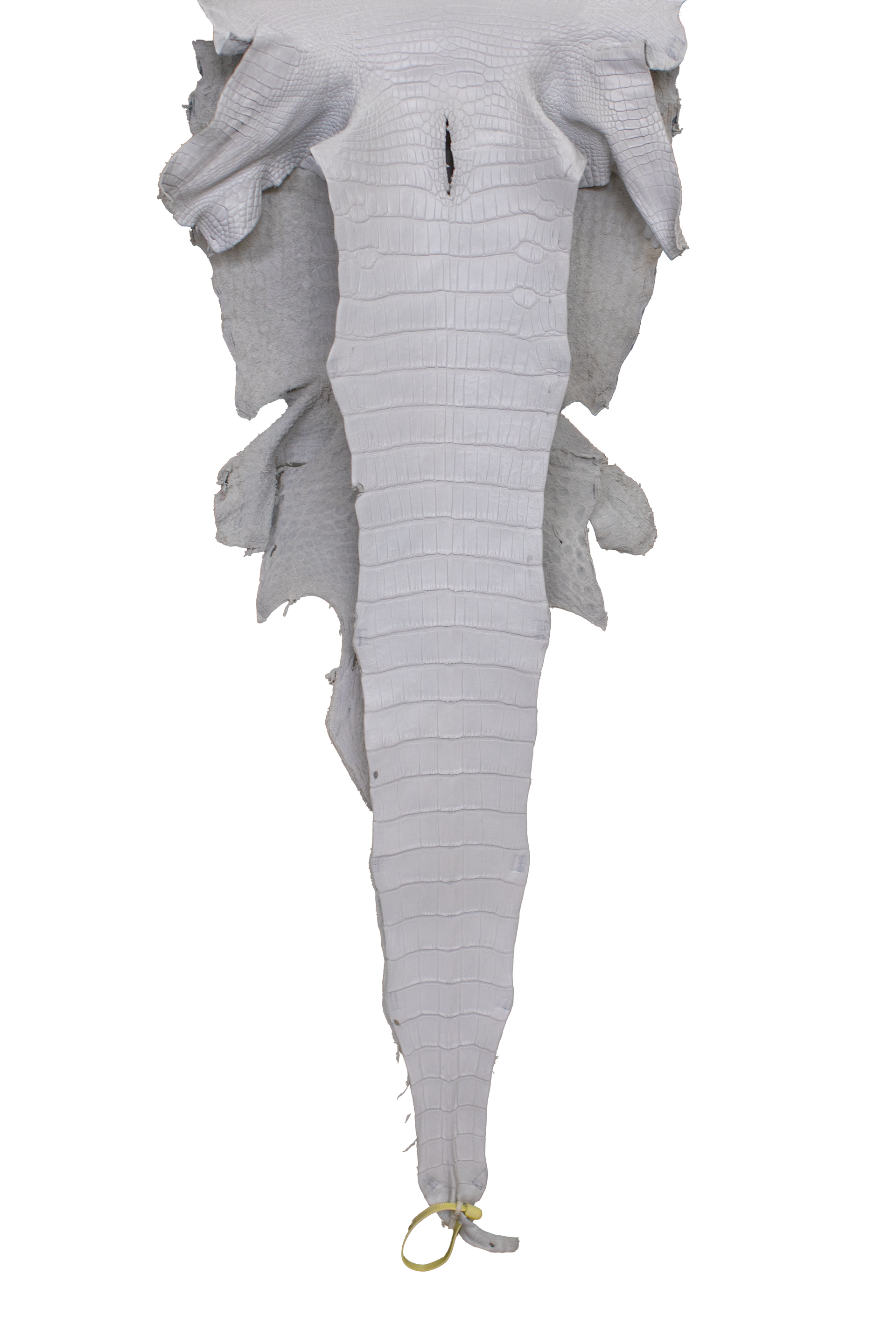 38 cm Grade 3/4 White Matte Wild American Alligator Leather - Tag: LA19-0014203