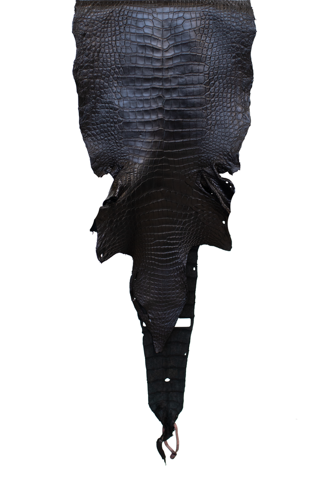 34 cm Grade 3/4 Black Matte Wild American Alligator Leather - Tag: LA21-0101534