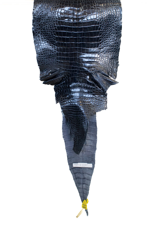 45 cm Grade 1/2 Navy Blue Glazed Wild American Alligator Leather - Tag: LA16-0016558