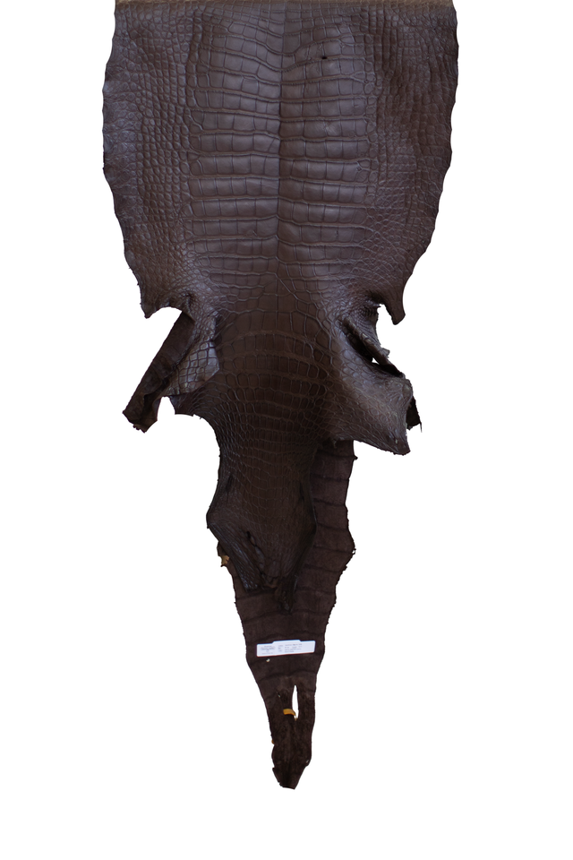 53 cm Grade 4/5 Ideal Brown Matte Wild American Alligator Leather - Tag: LA22-0017875