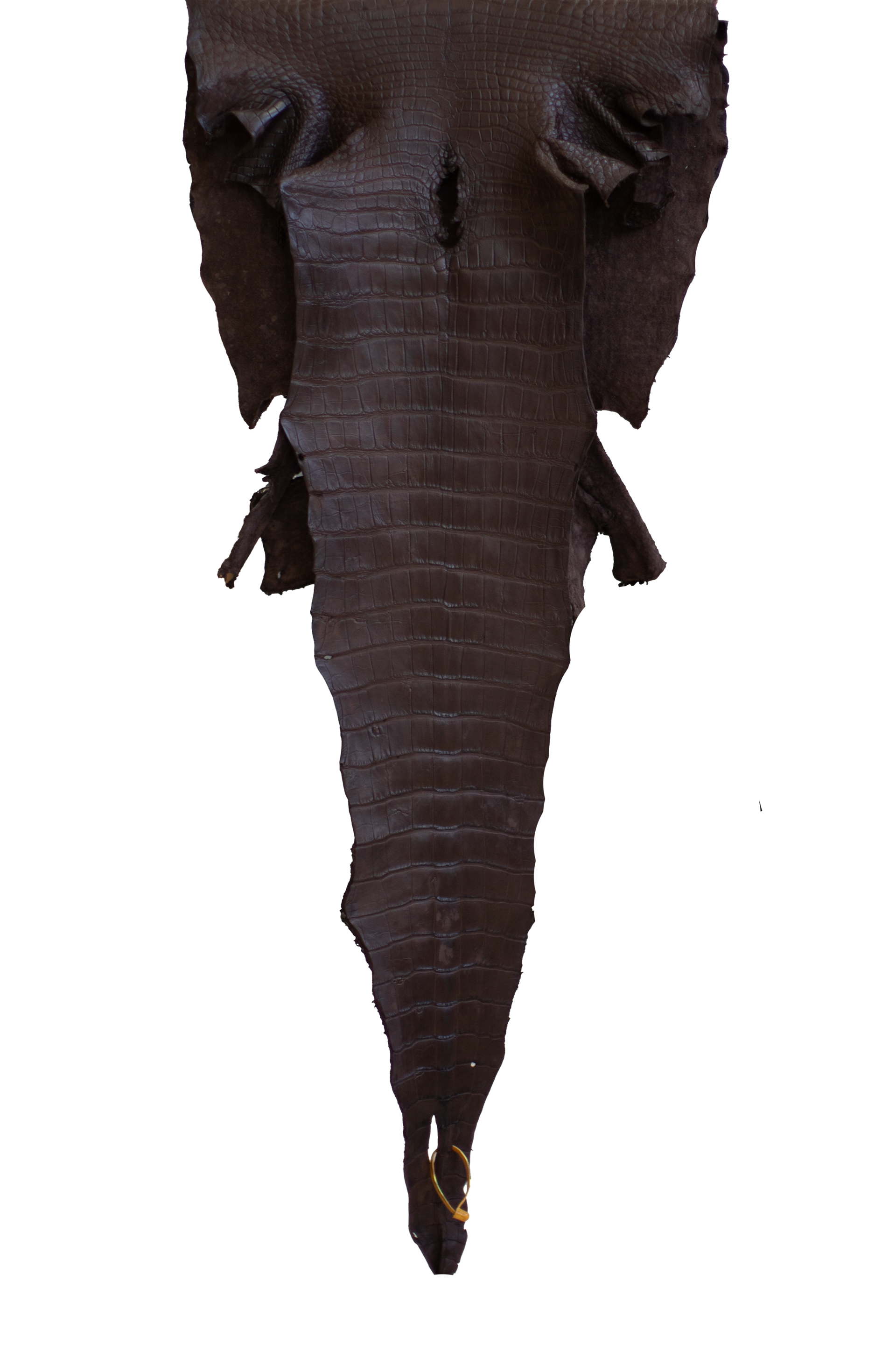 53 cm Grade 4/5 Ideal Brown Matte Wild American Alligator Leather - Tag: LA22-0017875