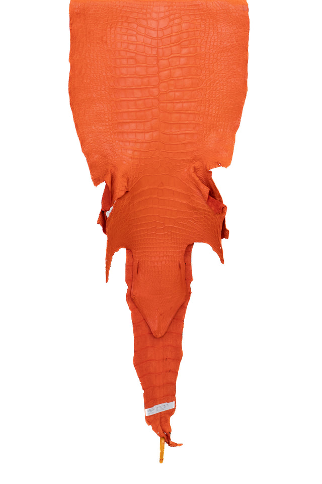 45 cm Grade 2/3 Orange Matte Wild American Alligator Leather - Tag: LA22-0018106