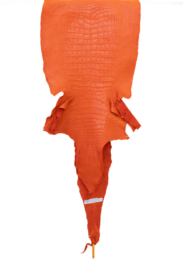 46 cm Grade 2/3 Orange Matte Wild American Alligator Leather - Tag: LA22-0018174