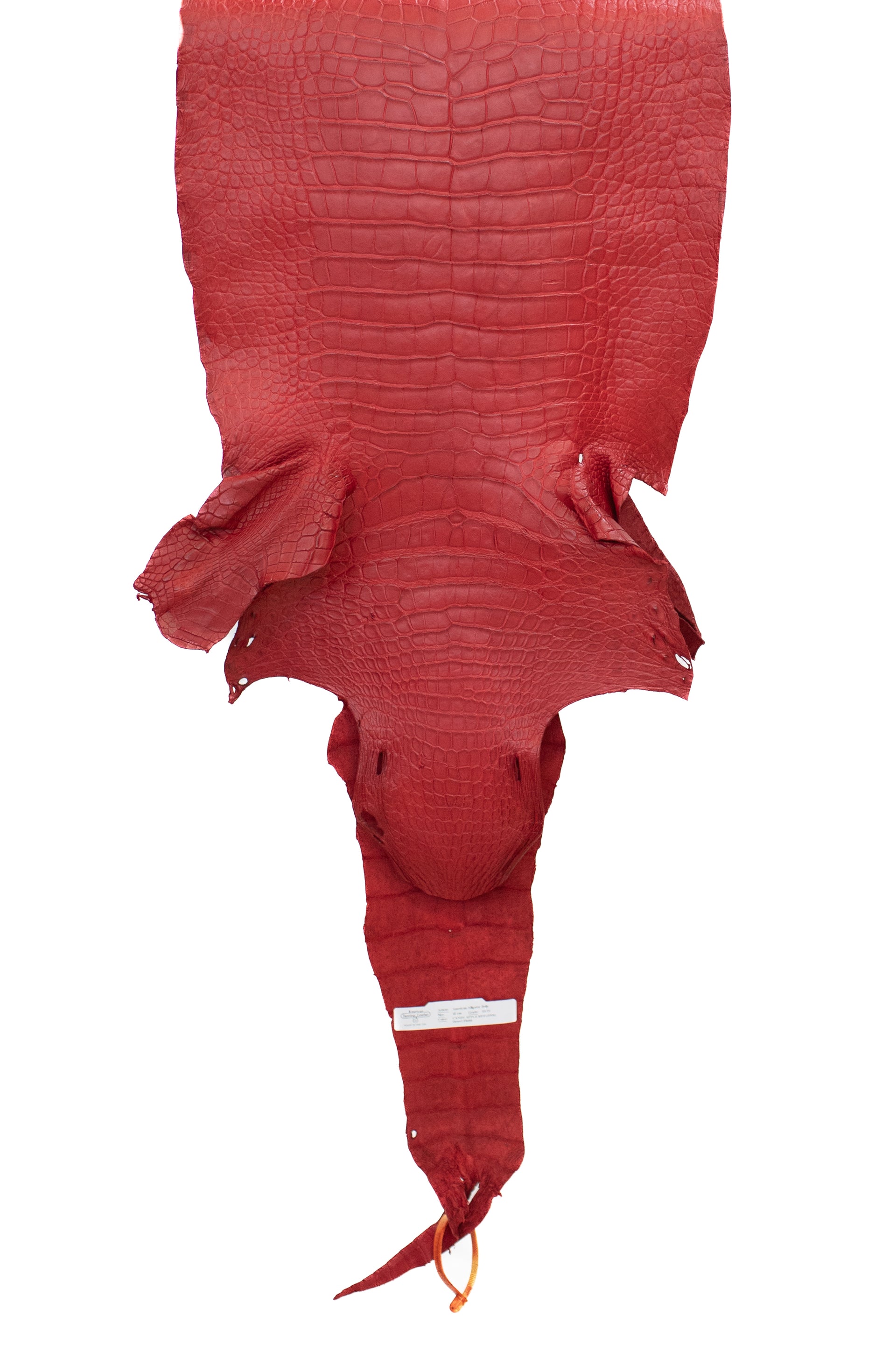 42 cm Grade 3/4 Candy Apple Red Matte Wild American Alligator Leather - Tag: LA22-0021070