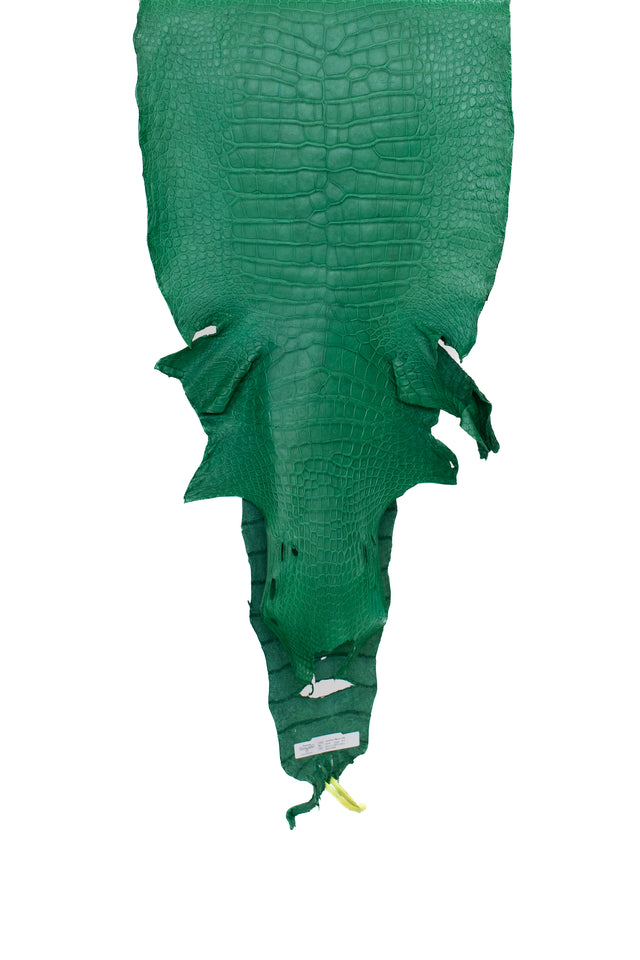 46 cm Grade 4/5 Kelly Green Matte Wild American Alligator Leather - Tag: LA22-0021164