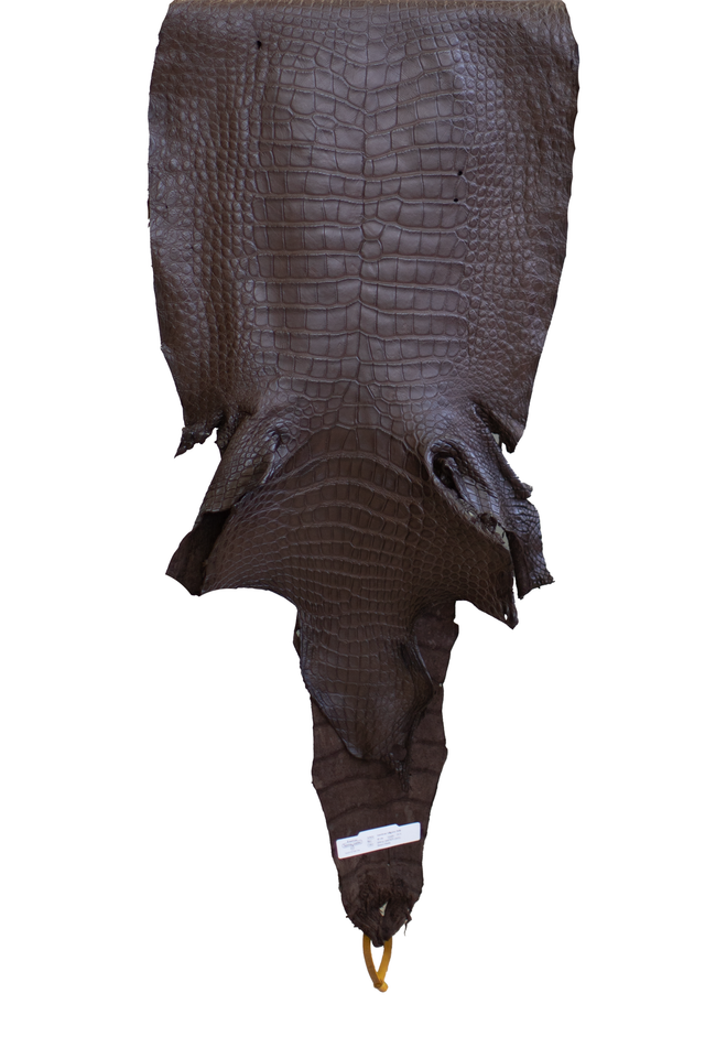 42 cm Grade 4/5 Ideal Brown Matte Wild American Alligator Leather - Tag: LA22-0021215