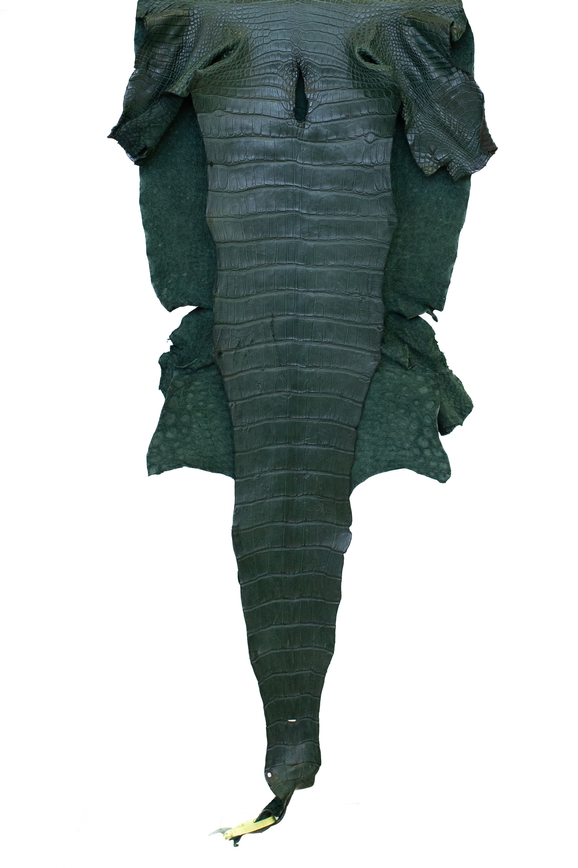 46 cm Grade 3/4 Forest Green Matte Wild American Alligator Leather - Tag: LA22-0021459