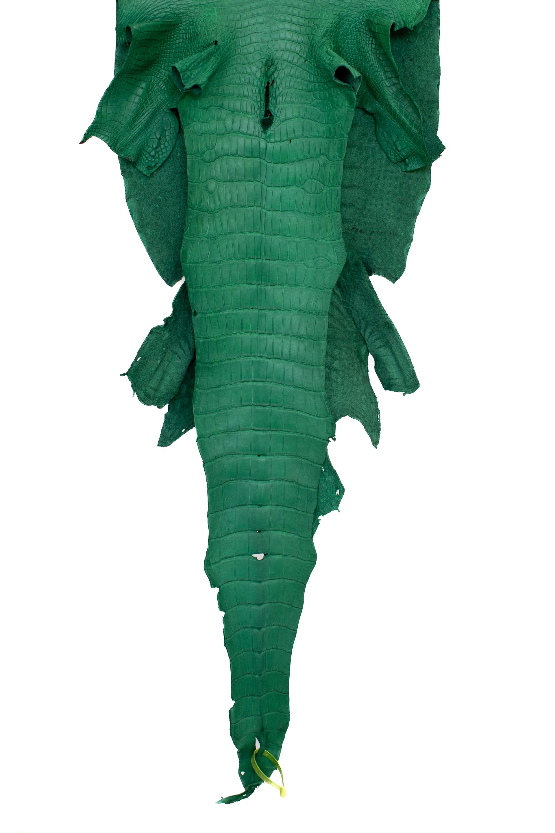 47 cm Grade 3/4 Kelly Green Matte Wild American Alligator Leather - Tag: LA22-0021468